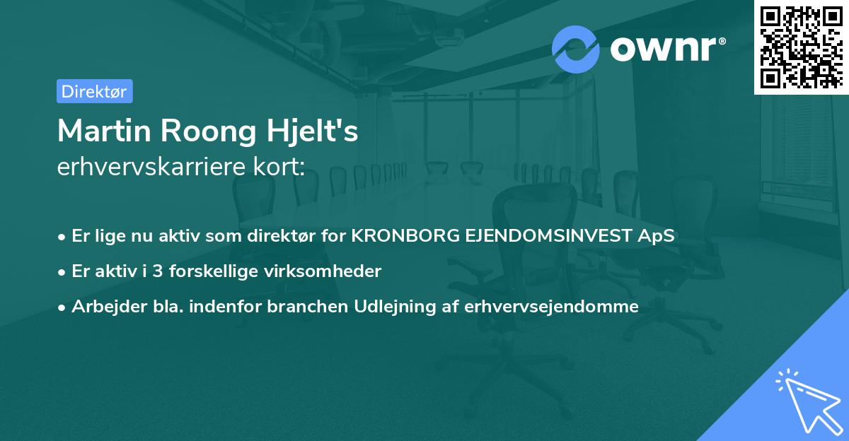 Martin Roong Hjelt's erhvervskarriere kort