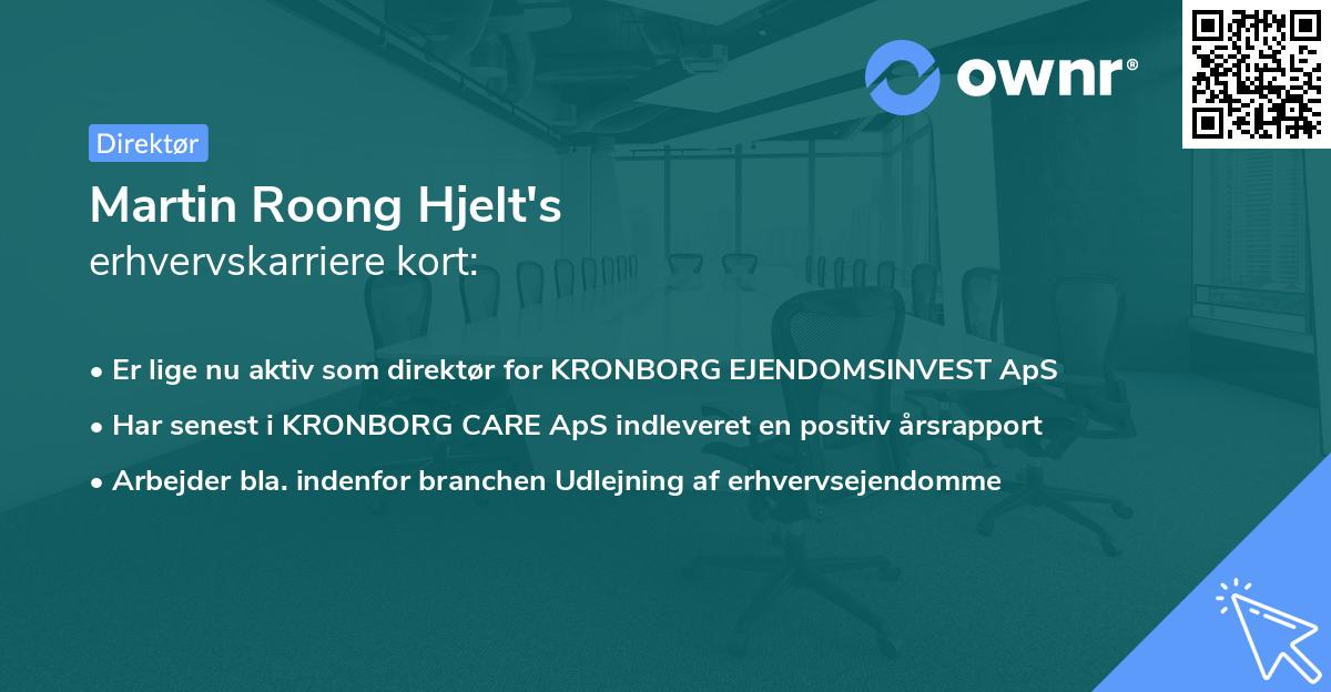 Martin Roong Hjelt's erhvervskarriere kort