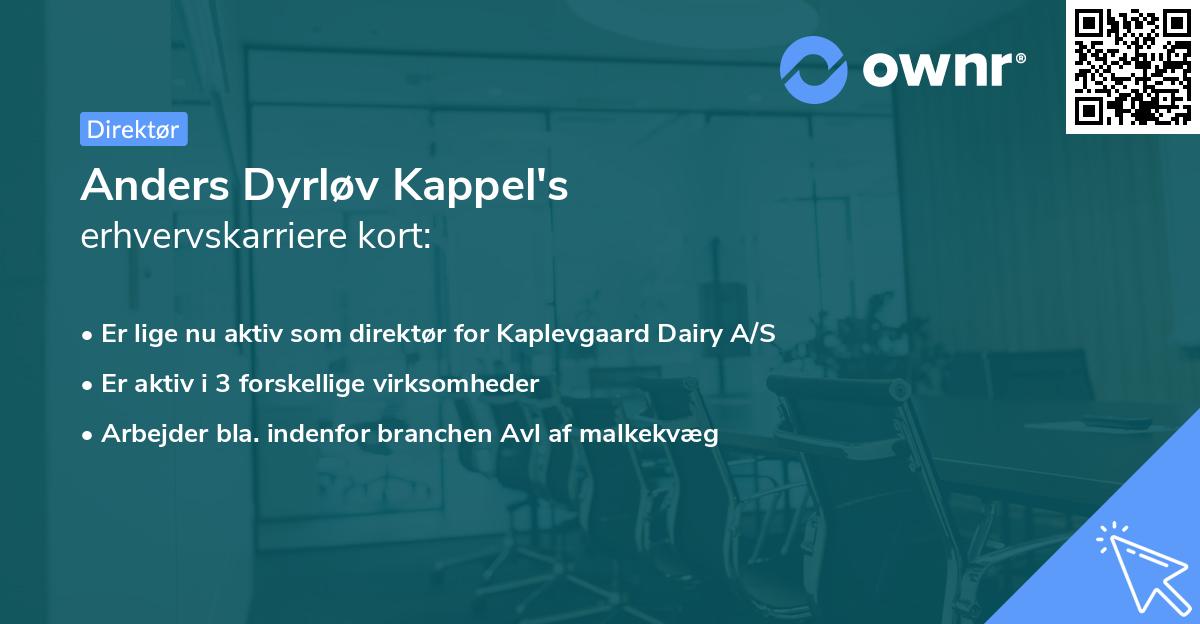 Anders Dyrløv Kappel's erhvervskarriere kort