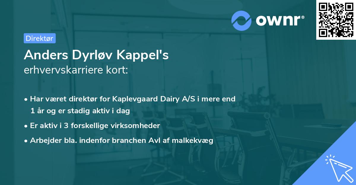 Anders Dyrløv Kappel's erhvervskarriere kort