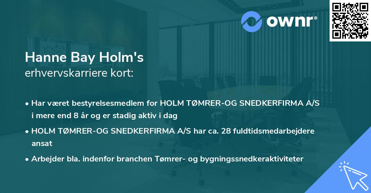 Hanne Bay Holm's erhvervskarriere kort