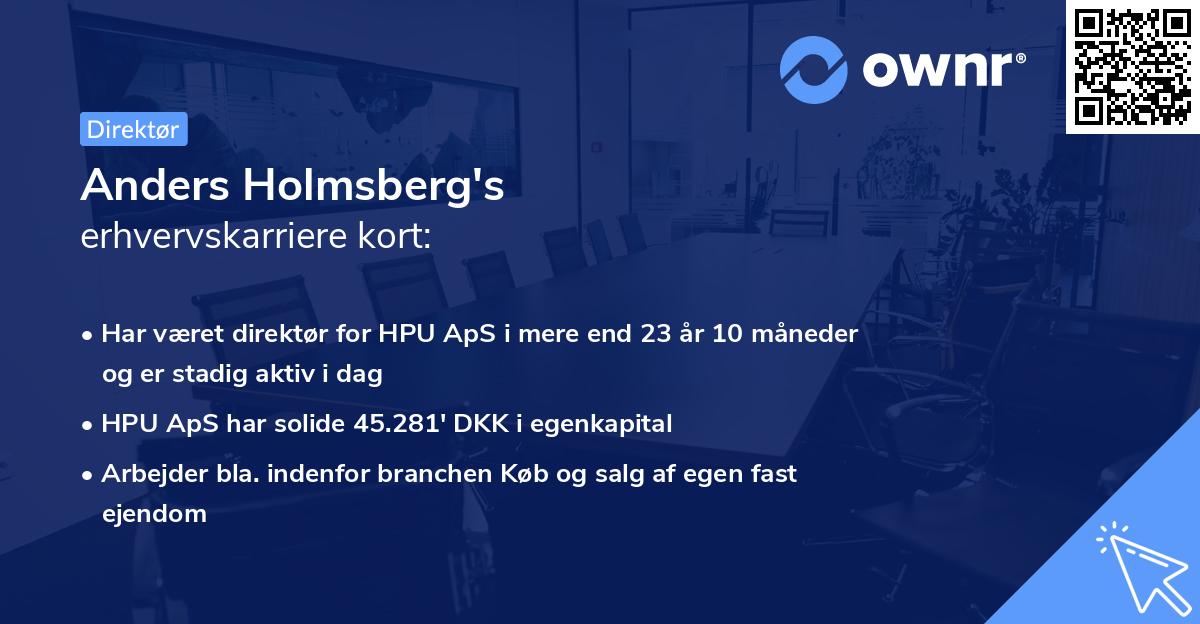 Anders Holmsberg's erhvervskarriere kort