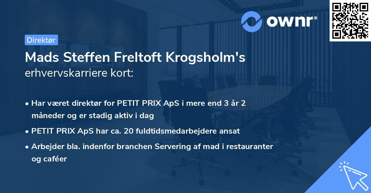Mads Steffen Freltoft Krogsholm's erhvervskarriere kort