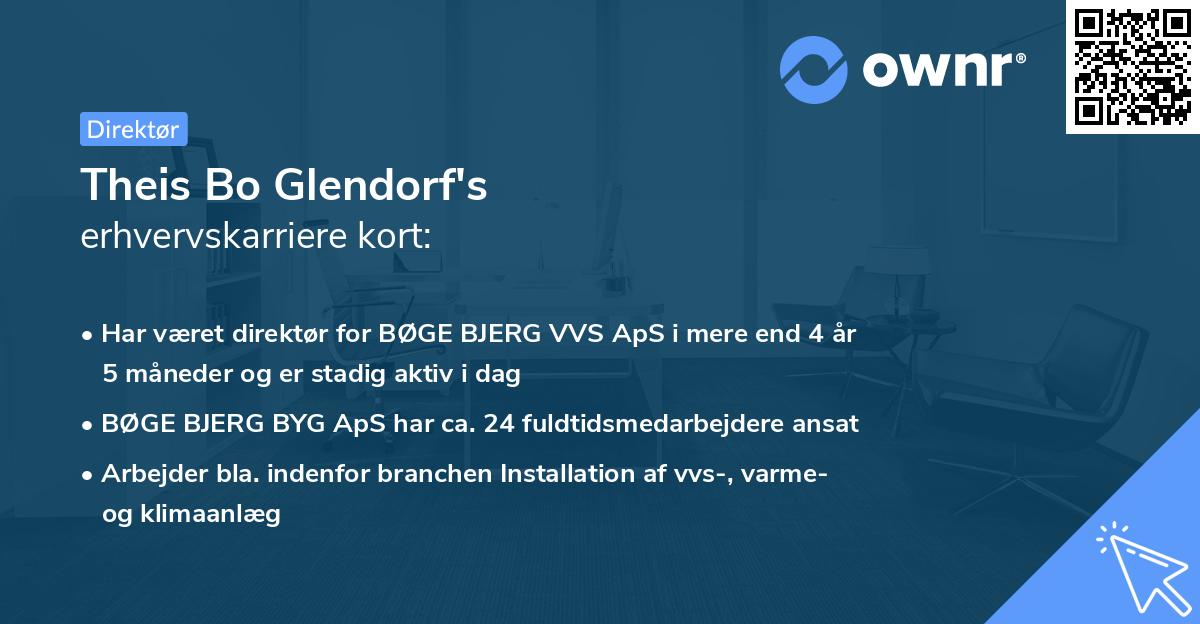 Theis Bo Glendorf's erhvervskarriere kort