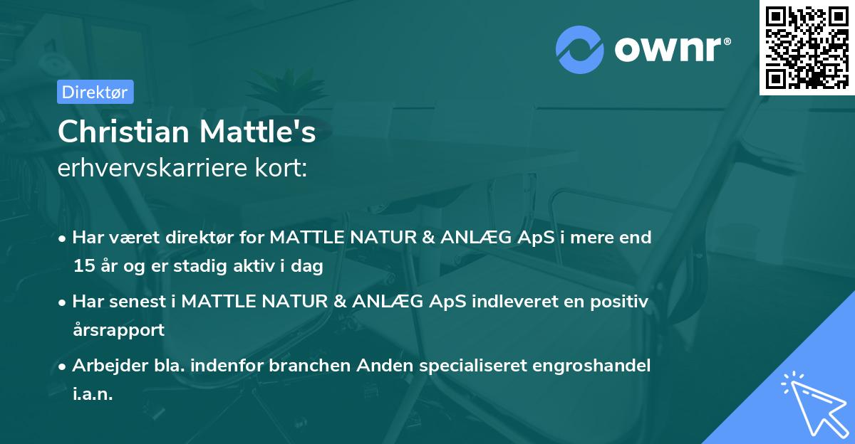 Christian Mattle's erhvervskarriere kort
