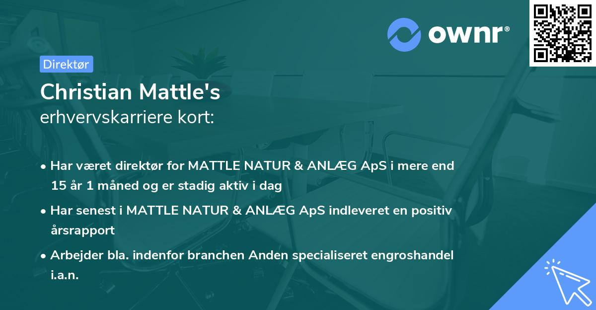 Christian Mattle's erhvervskarriere kort