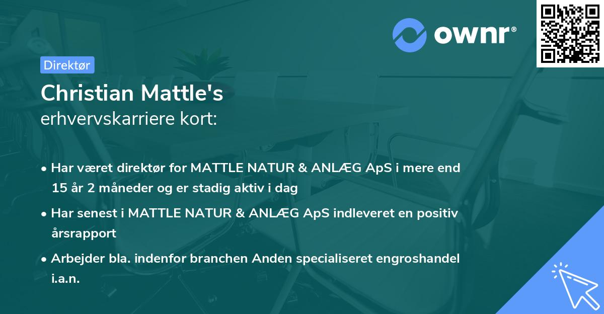 Christian Mattle's erhvervskarriere kort