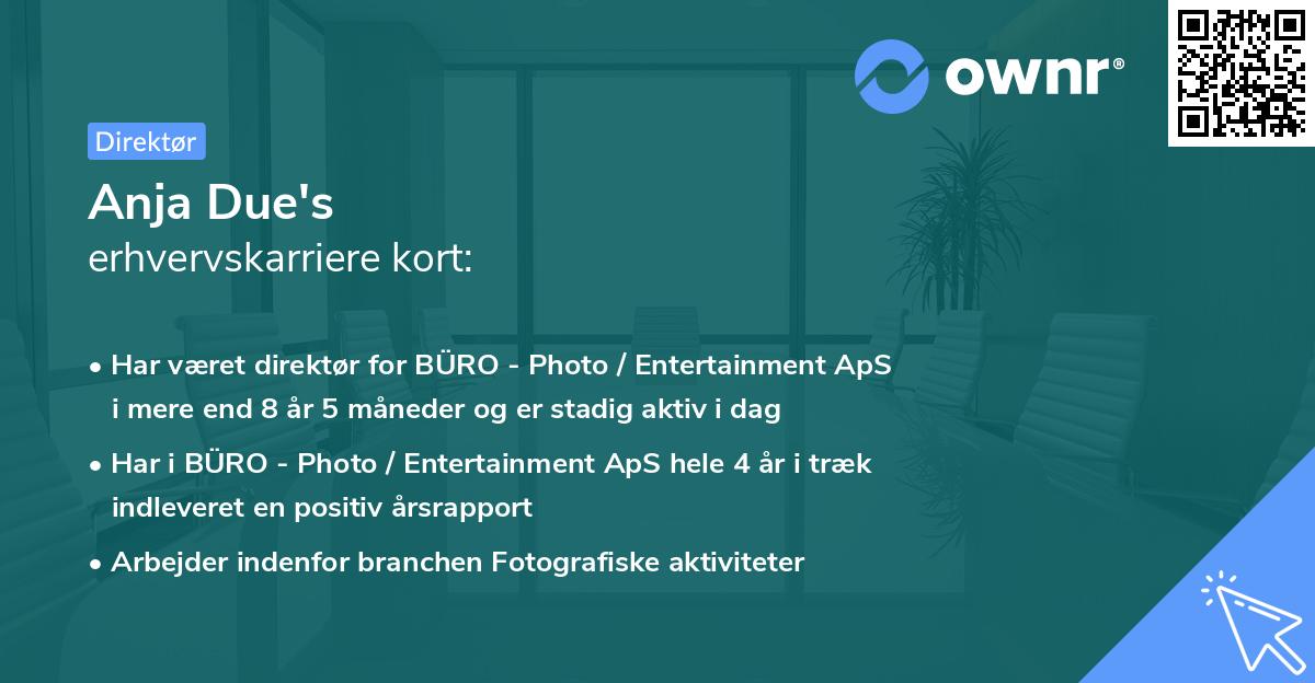 Anja Due's erhvervskarriere kort