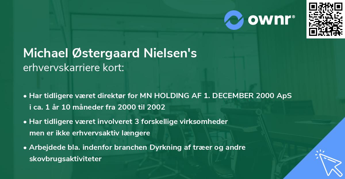 Michael Østergaard Nielsen's erhvervskarriere kort