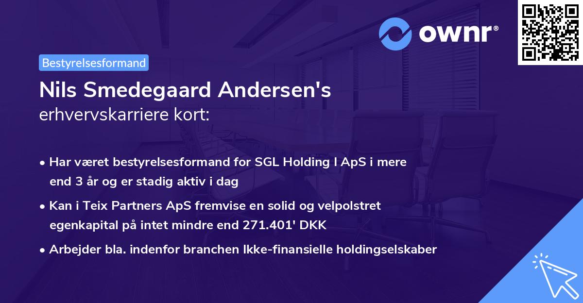 Nils Smedegaard Andersen's erhvervskarriere kort