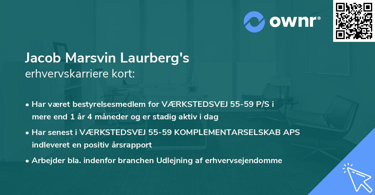 Jacob Marsvin Laurberg's erhvervskarriere kort