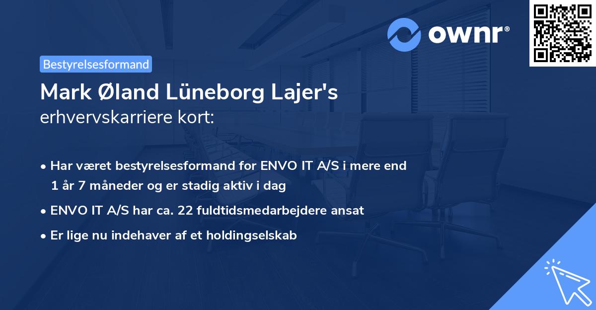 Mark Øland Lüneborg Lajer's erhvervskarriere kort