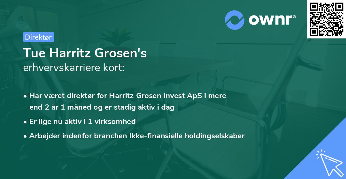 Tue Harritz Grosen's erhvervskarriere kort