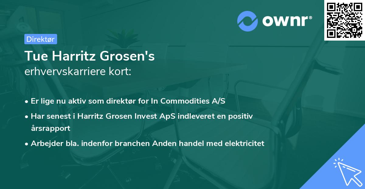 Tue Harritz Grosen's erhvervskarriere kort
