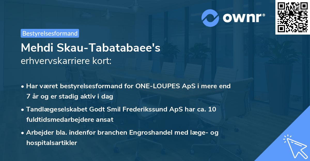 Mehdi Skau-Tabatabaee's erhvervskarriere kort