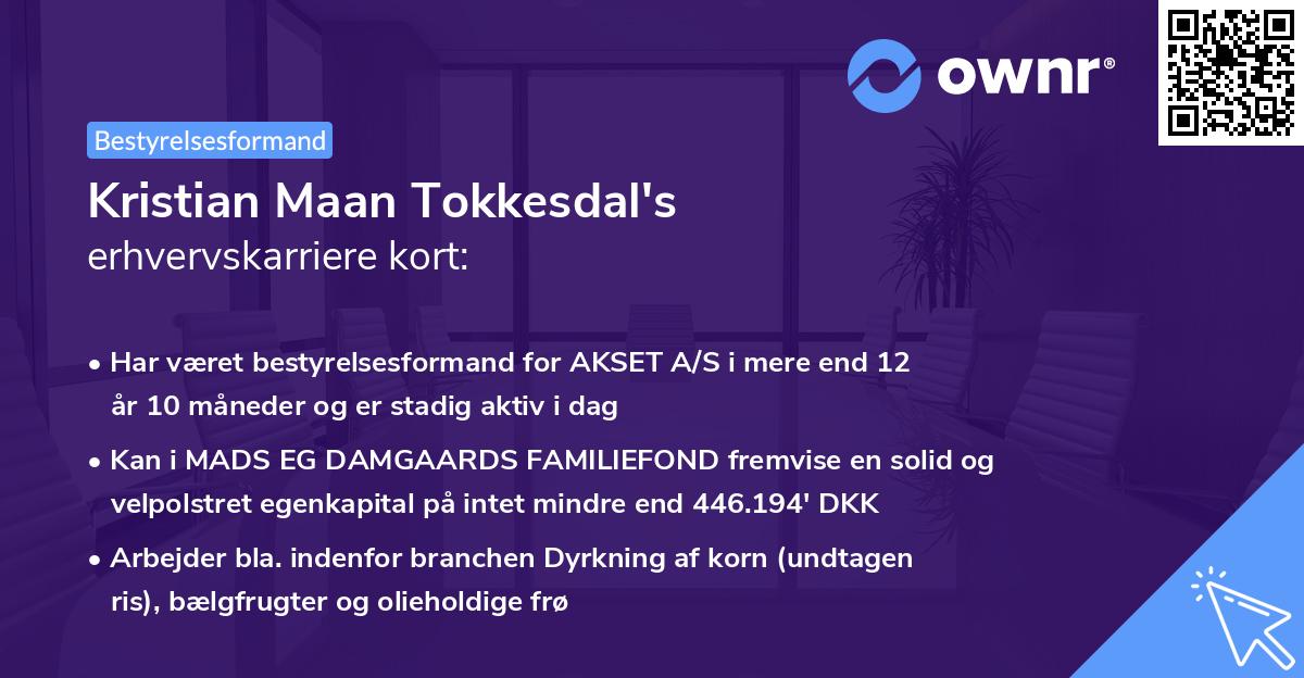 Kristian Maan Tokkesdal's erhvervskarriere kort