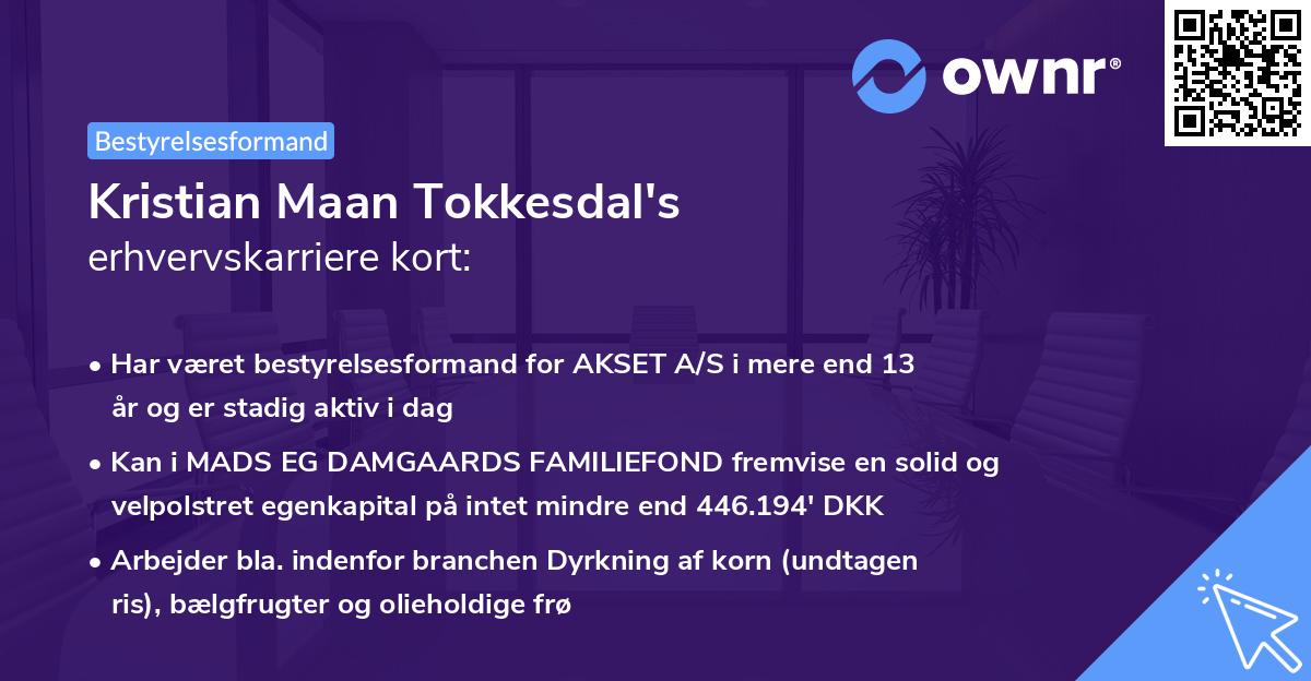 Kristian Maan Tokkesdal's erhvervskarriere kort
