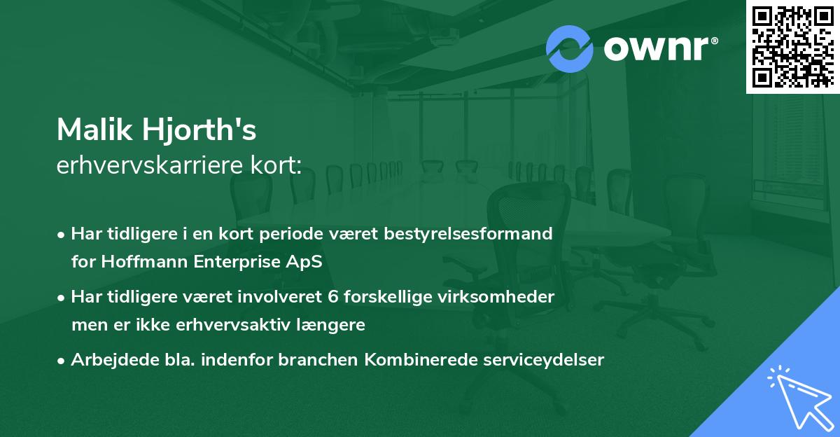 Malik Hjorth's erhvervskarriere kort