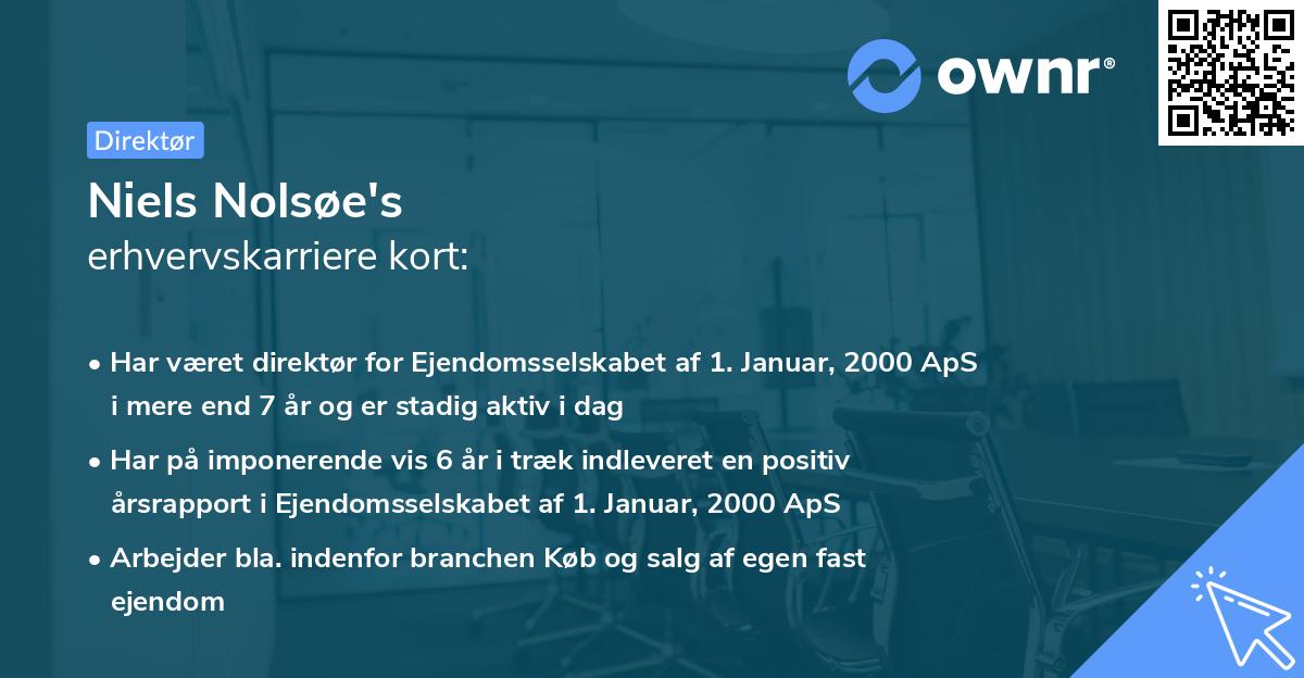 Niels Nolsøe's erhvervskarriere kort