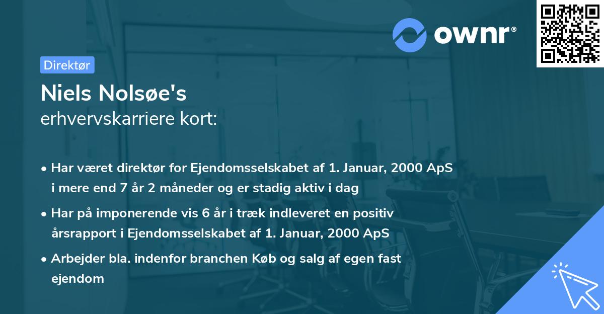 Niels Nolsøe's erhvervskarriere kort