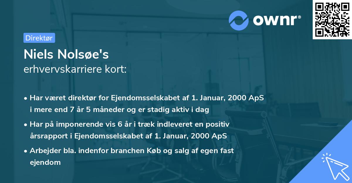 Niels Nolsøe's erhvervskarriere kort