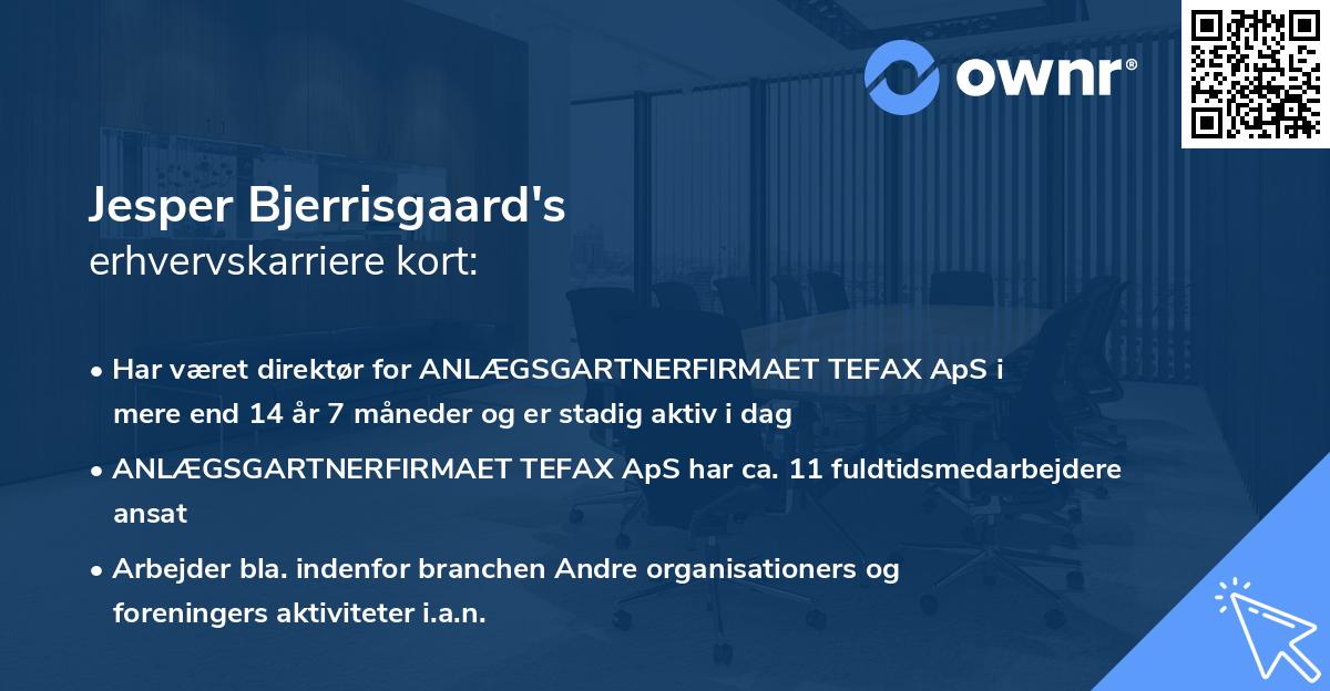 Jesper Bjerrisgaard's erhvervskarriere kort