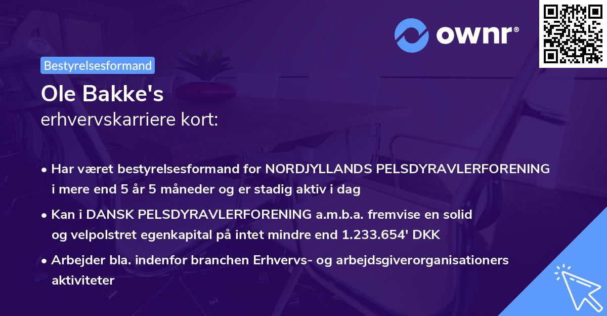 Ole Bakke's erhvervskarriere kort