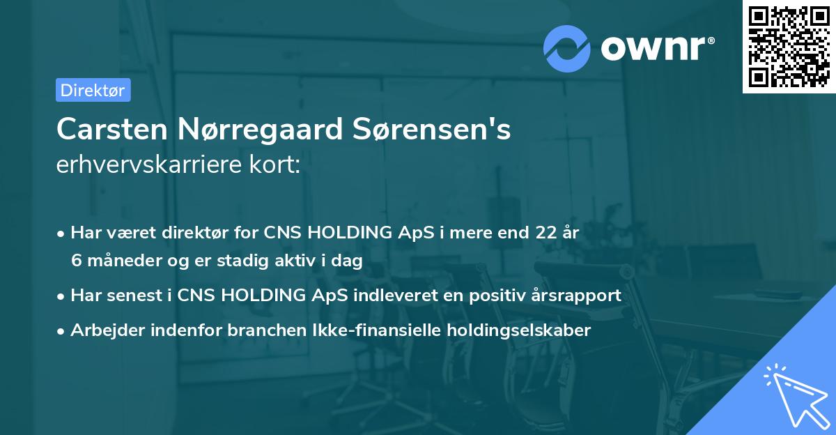 Carsten Nørregaard Sørensen's erhvervskarriere kort