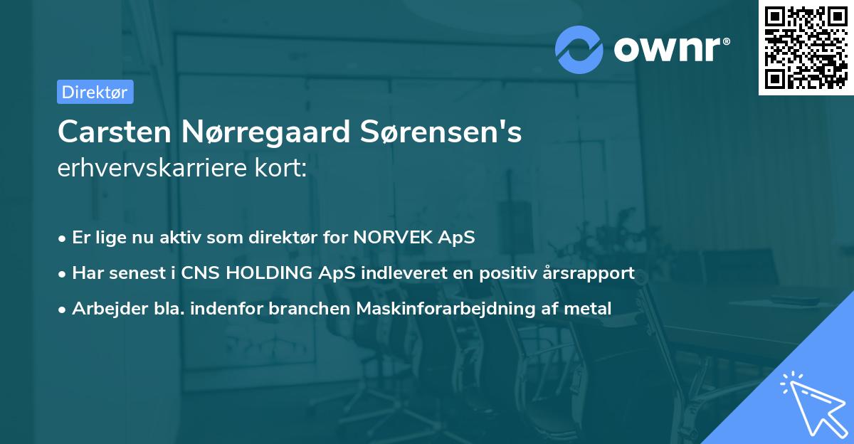 Carsten Nørregaard Sørensen's erhvervskarriere kort