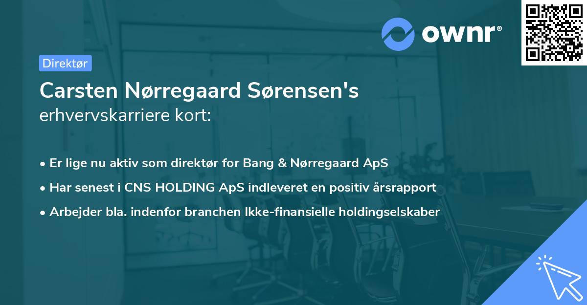 Carsten Nørregaard Sørensen's erhvervskarriere kort