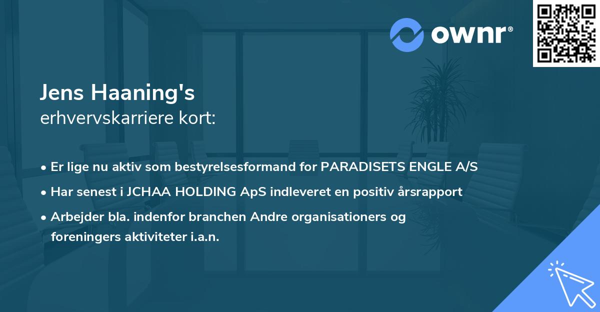 Jens Haaning's erhvervskarriere kort