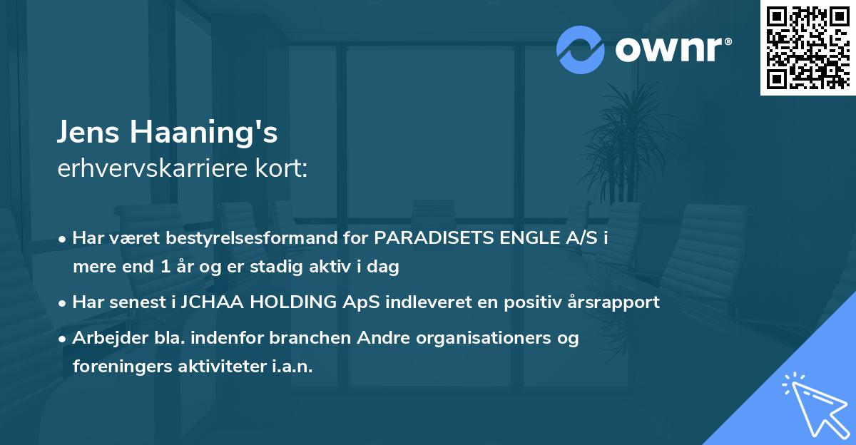 Jens Haaning's erhvervskarriere kort