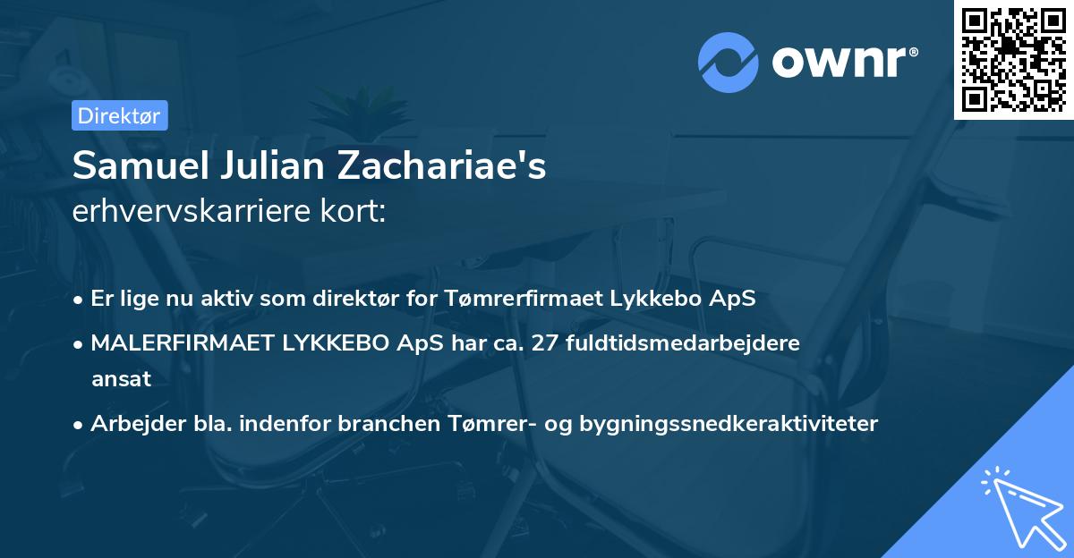 Samuel Julian Zachariae's erhvervskarriere kort