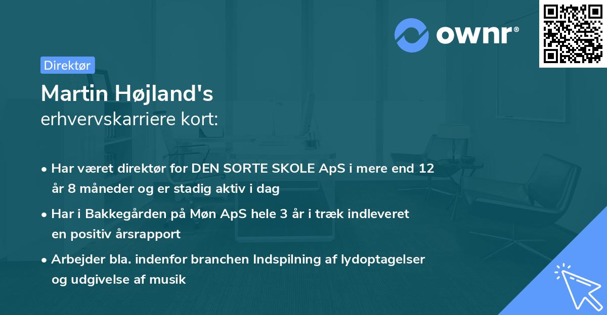 Martin Højland's erhvervskarriere kort