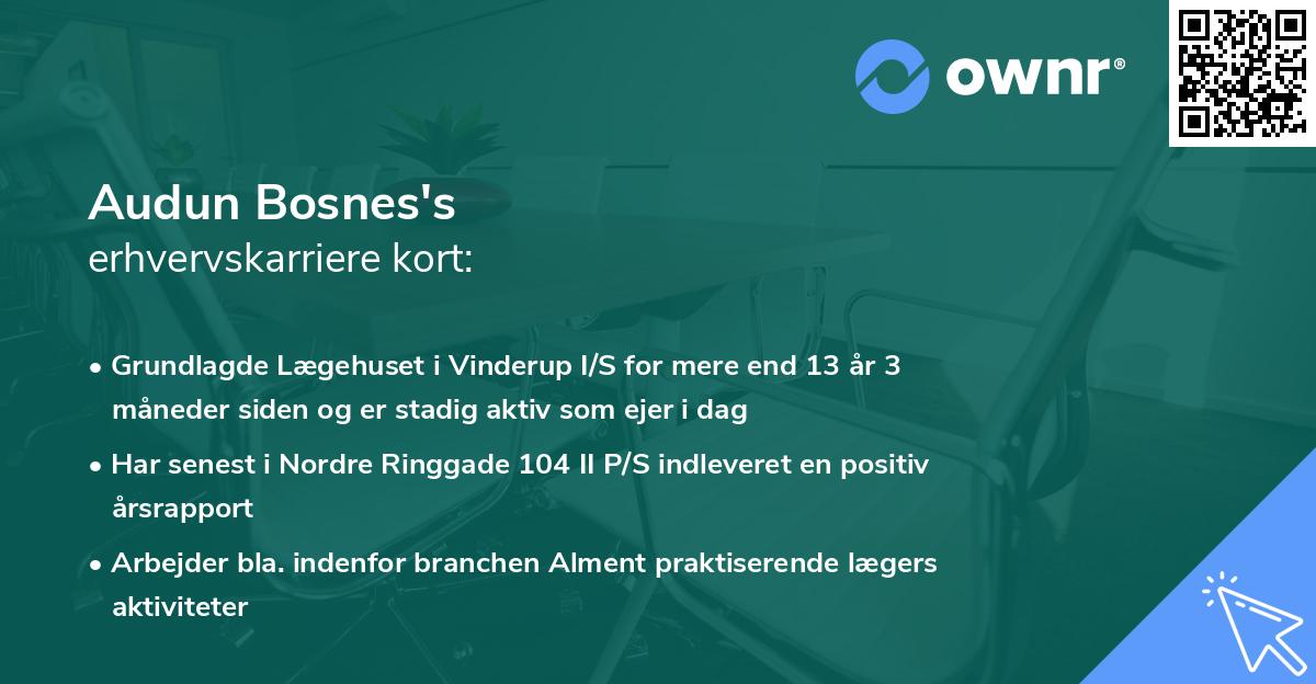 Audun Bosnes's erhvervskarriere kort