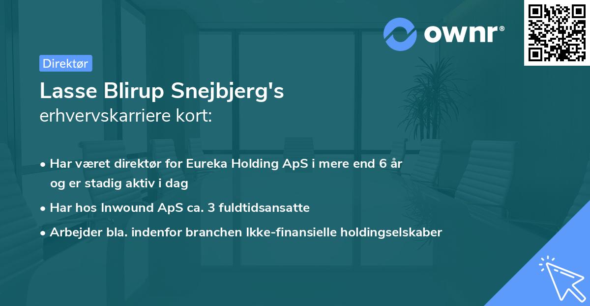 Lasse Blirup Snejbjerg's erhvervskarriere kort