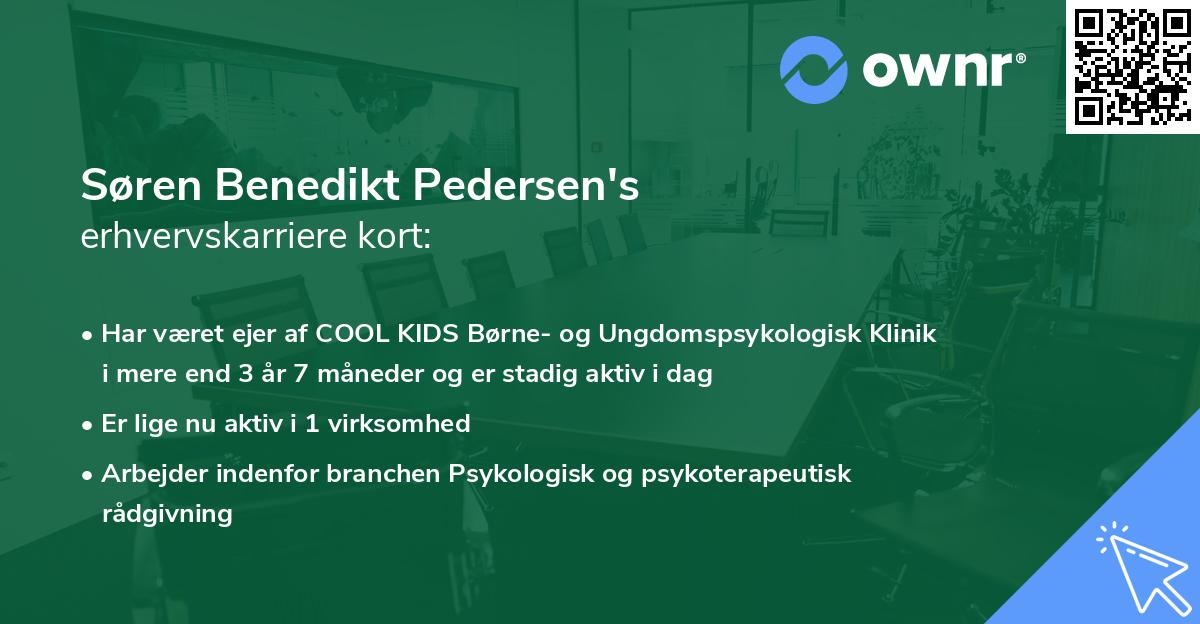 Søren Benedikt Pedersen's erhvervskarriere kort