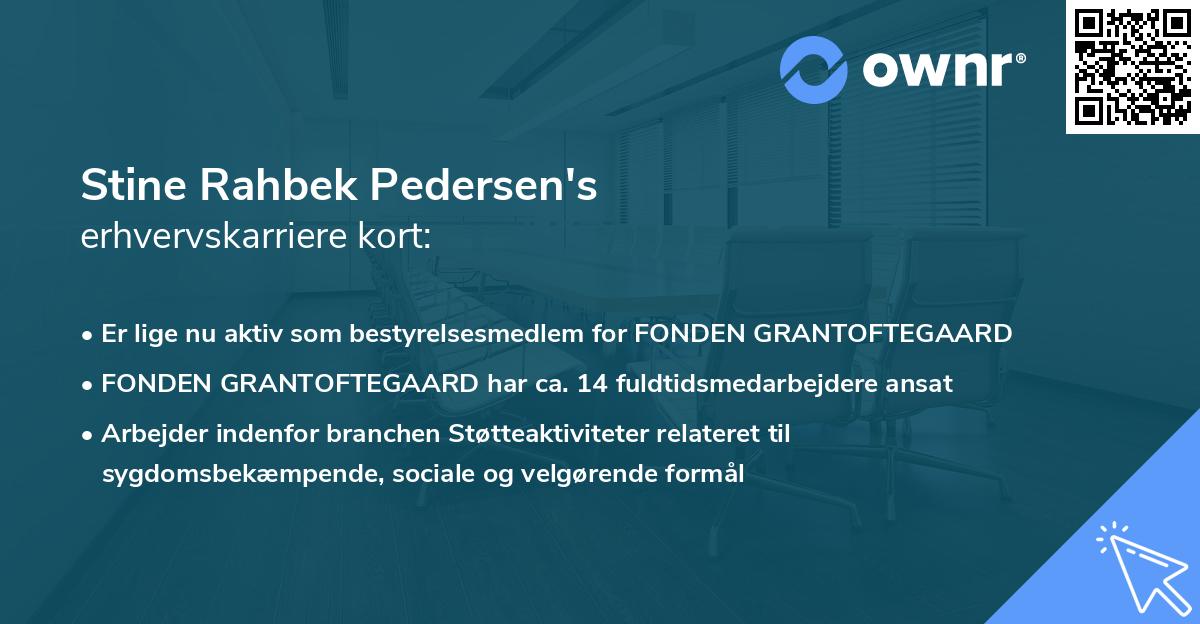 Stine Rahbek Pedersen's erhvervskarriere kort