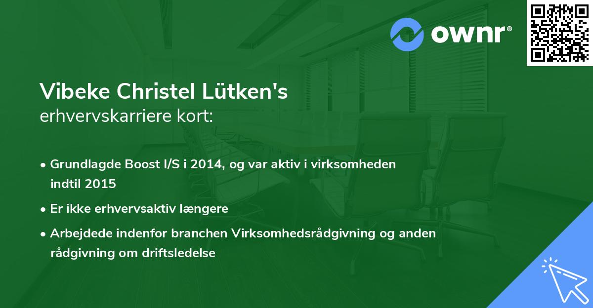 Vibeke Christel Lütken's erhvervskarriere kort