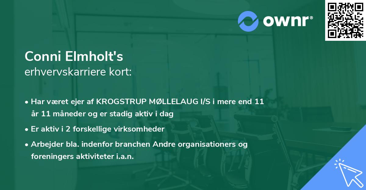 Conni Elmholt's erhvervskarriere kort