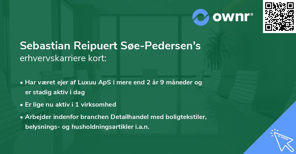 Sebastian Reipuert Søe-Pedersen's erhvervskarriere kort