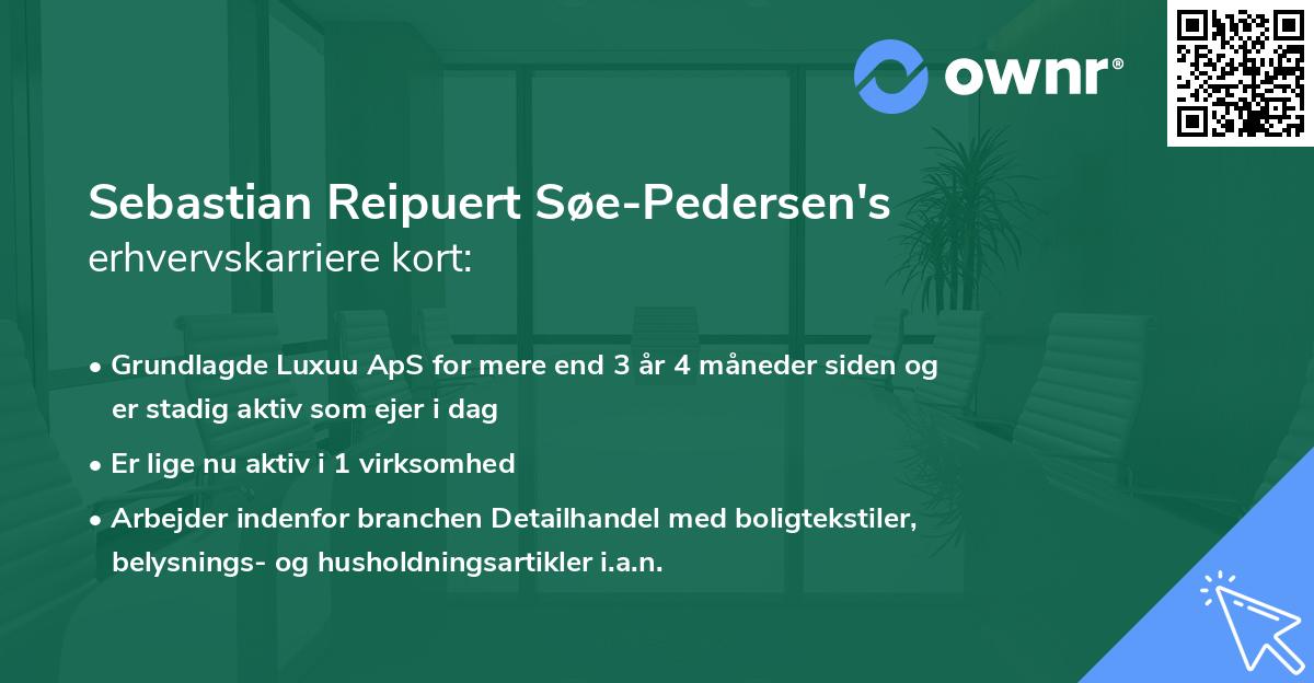 Sebastian Reipuert Søe-Pedersen's erhvervskarriere kort