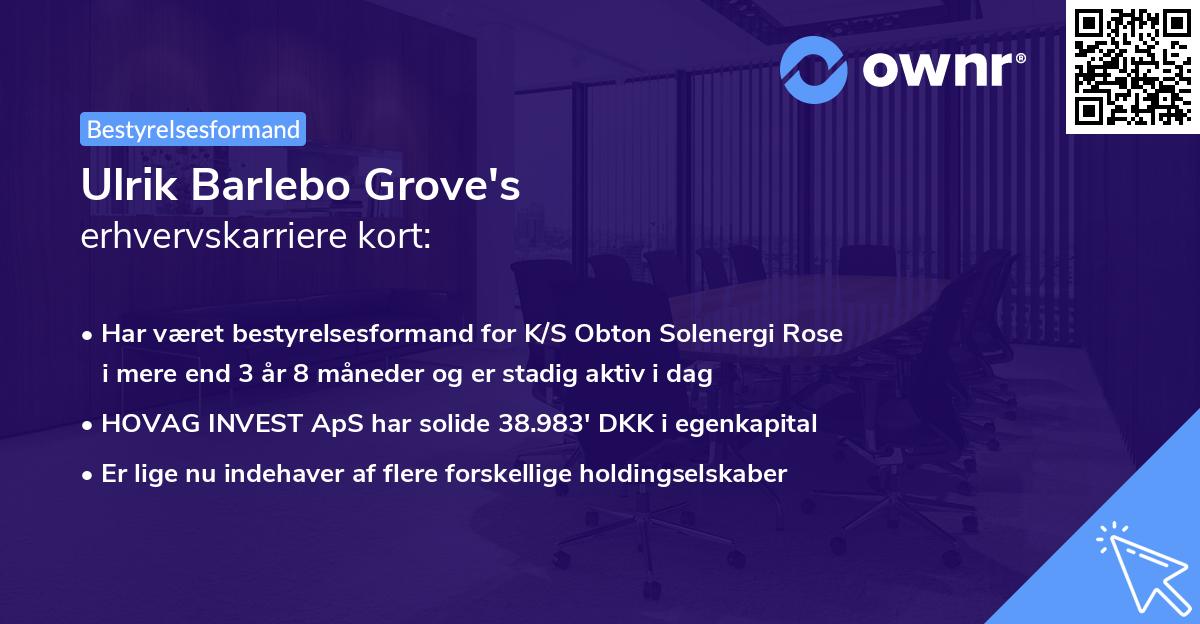 Ulrik Barlebo Grove's erhvervskarriere kort