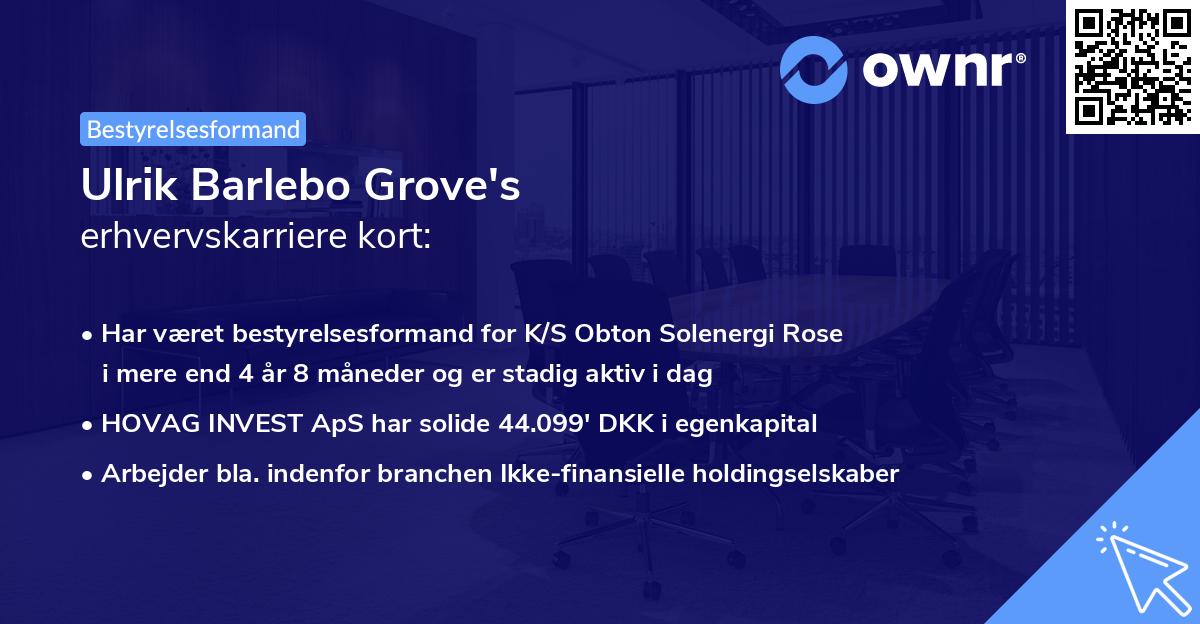 Ulrik Barlebo Grove's erhvervskarriere kort