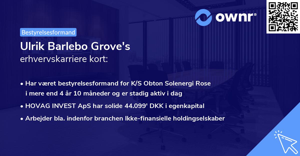Ulrik Barlebo Grove's erhvervskarriere kort