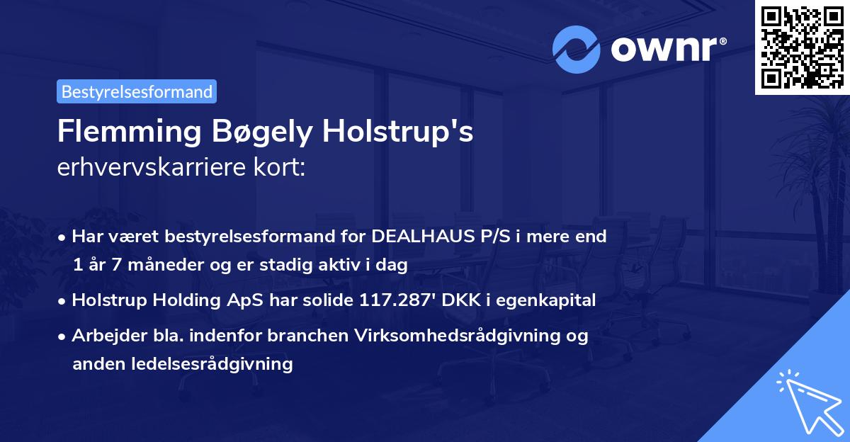 Flemming Bøgely Holstrup's erhvervskarriere kort