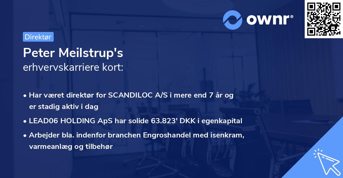 Peter Meilstrup's erhvervskarriere kort