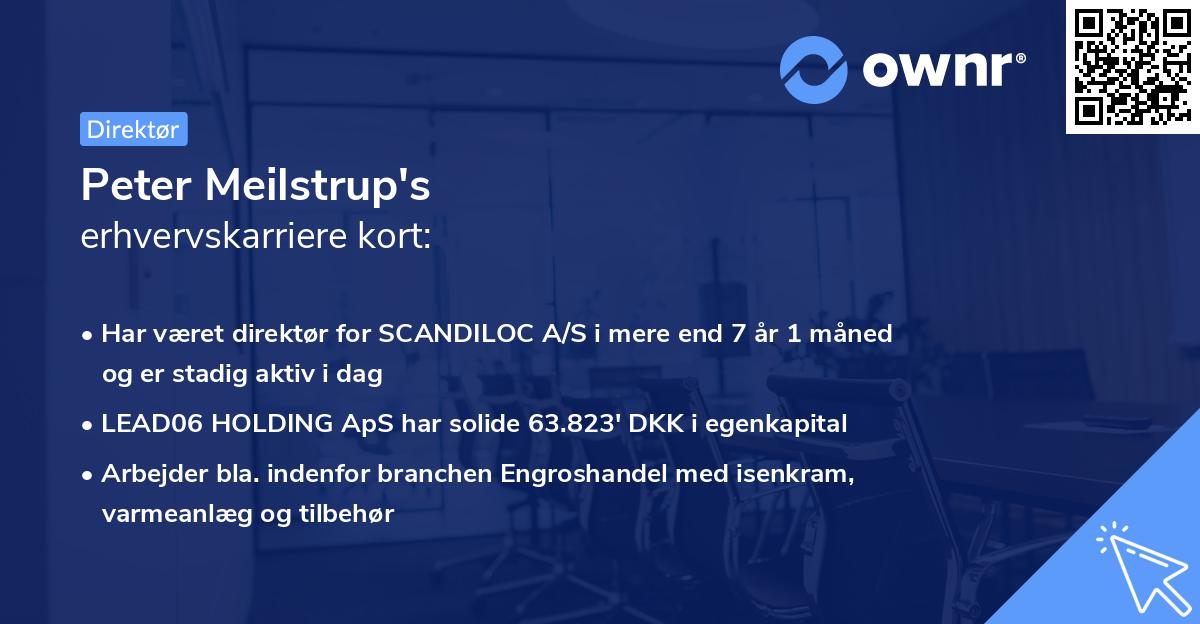 Peter Meilstrup's erhvervskarriere kort