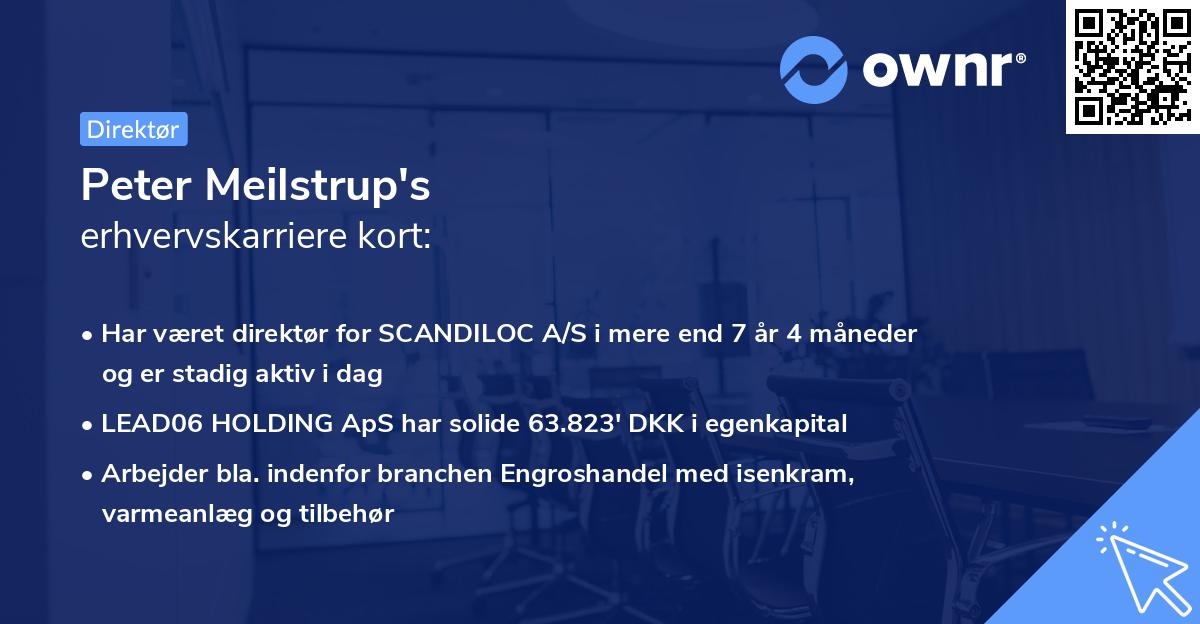 Peter Meilstrup's erhvervskarriere kort