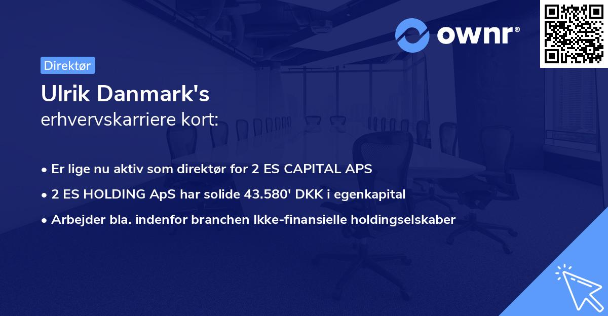 Ulrik Danmark's erhvervskarriere kort